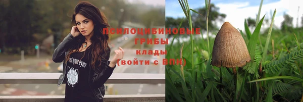 индика Арсеньев