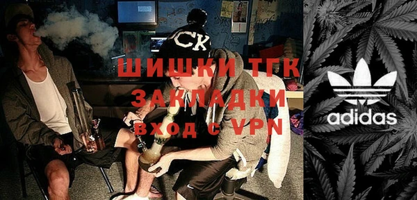 индика Арсеньев
