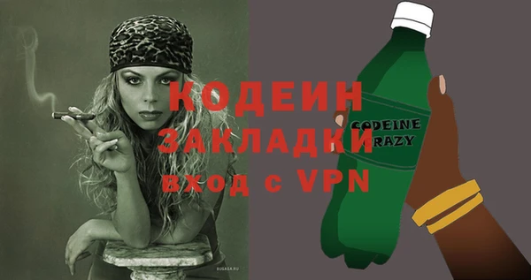 индика Арсеньев
