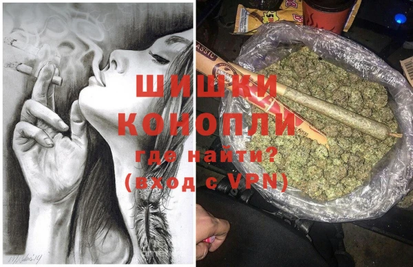 индика Арсеньев