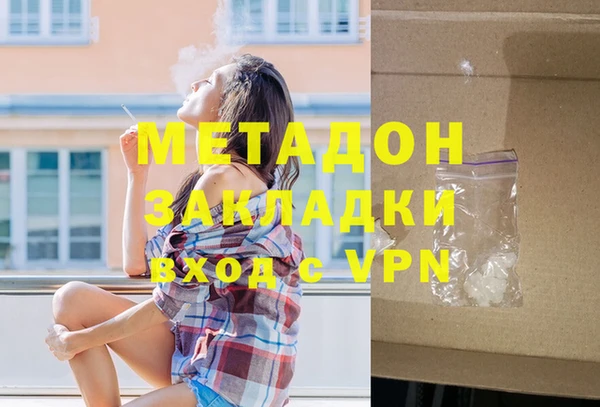 индика Арсеньев