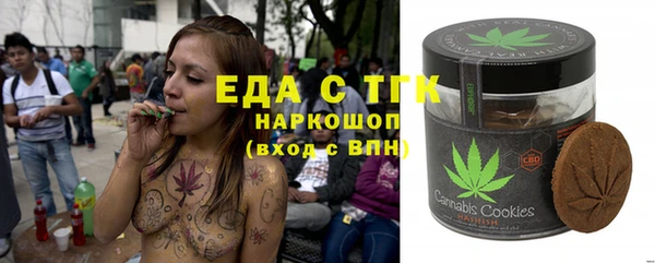 индика Арсеньев
