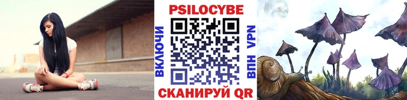 Галлюциногенные грибы Psilocybe  даркнет формула  блэк спрут   Рудня  купить  цена 